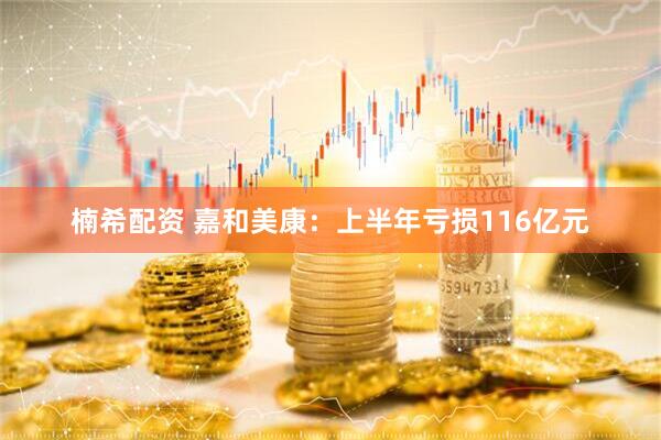 楠希配资 嘉和美康：上半年亏损116亿元