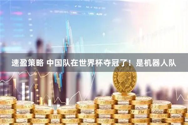 速盈策略 中国队在世界杯夺冠了！是机器人队